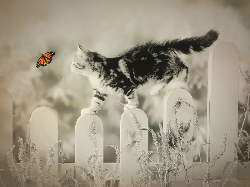 Whimsical Flora