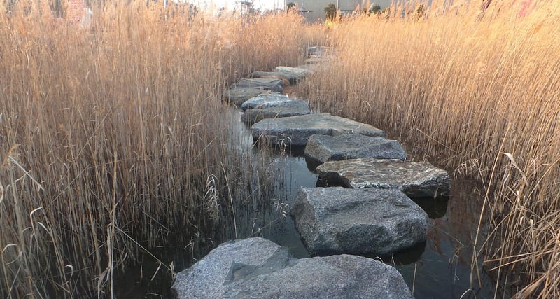 Magical Stepping Stones